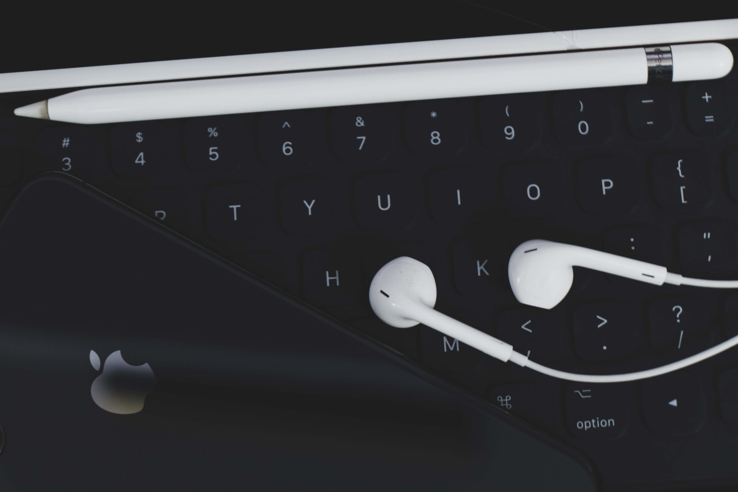 Earphones